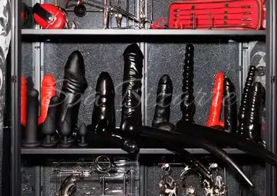 Dildo-Auswahl im Fetisch-Studio Dielsdorf bei Zürich – hochwertiges Spielzeug für BDSM- und Femdom-Sessions