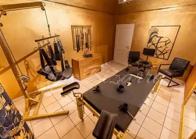 Professionelles Dominastudio in Dielsdorf bei Zürich – BDSM, Femdom und Fetisch mit umfassender Studio-Ausstattung